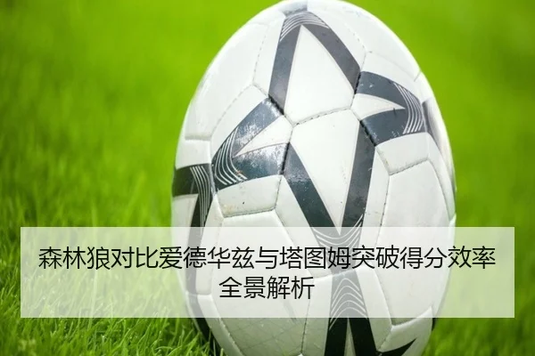 森林狼对比爱德华兹与塔图姆突破得分效率全景解析